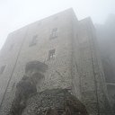 tor (21)